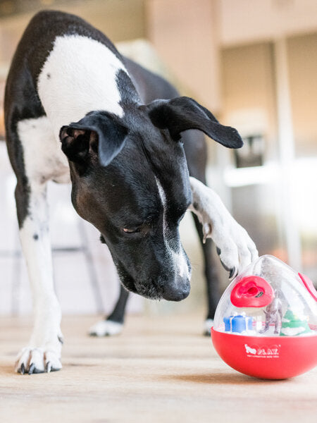 Jouet distributeur de friandises pour chien en forme de Wobble Ball rouge de Pet PLAY