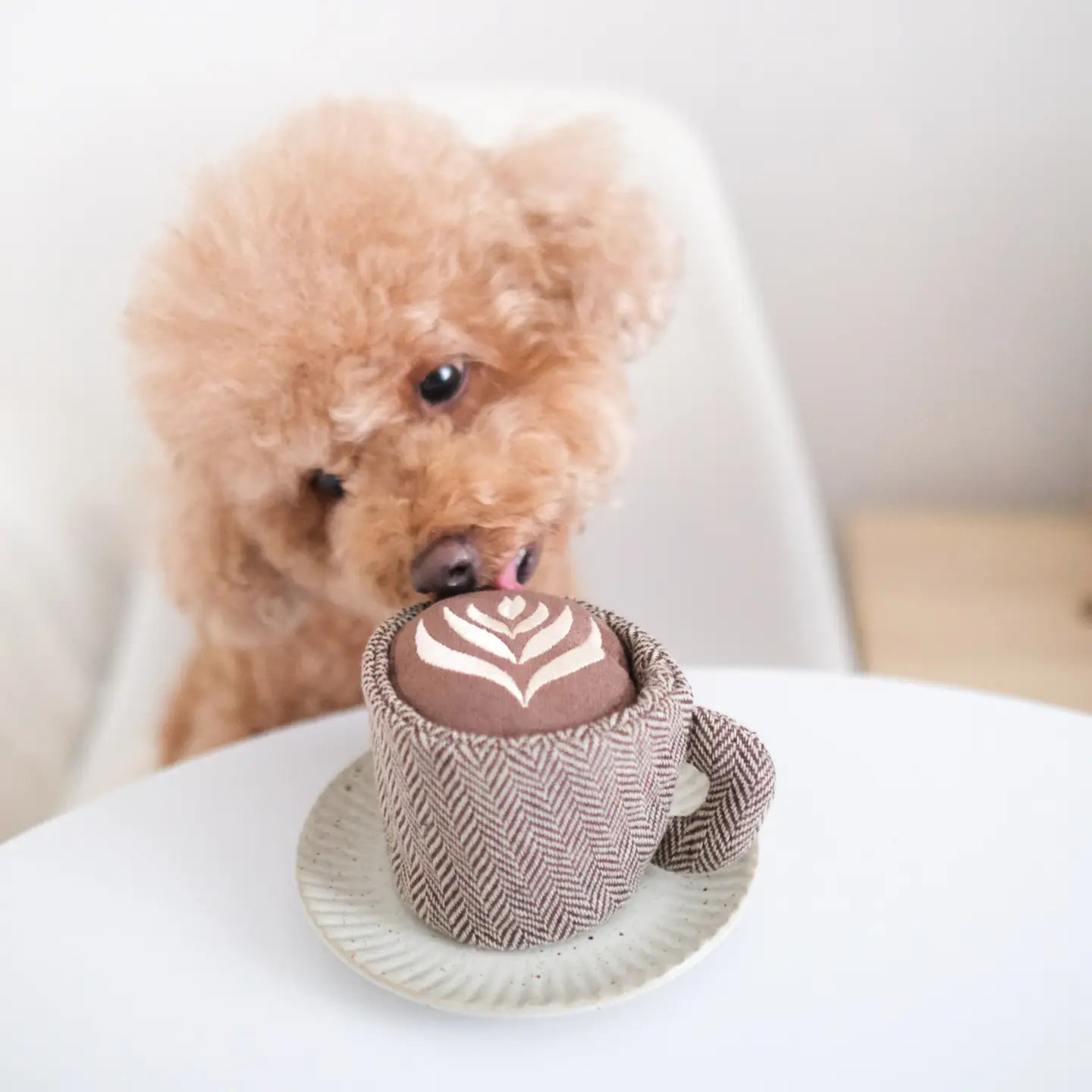 Peluche d’enrichissement chien tasse café design