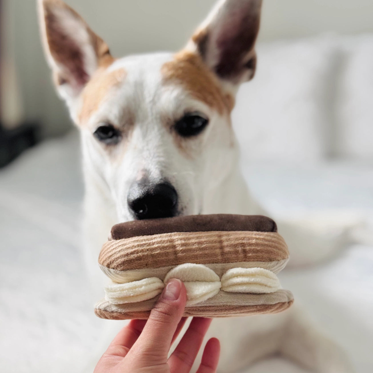 Snuffle toy chien gourmand design