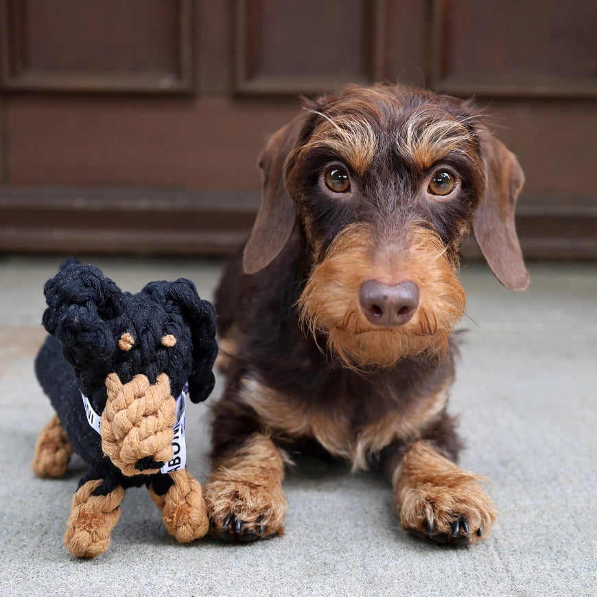 Jouet à mâcher en corde pour chien Tilda Teckel Laboni – LABONI – DOG DéliCAT