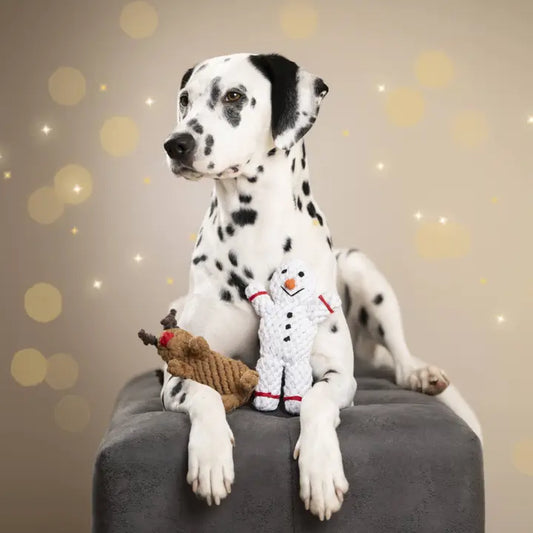 Jouet en corde de Noël pour chien Rudi le Renne de Laboni, en coton naturel avec un nez rouge.