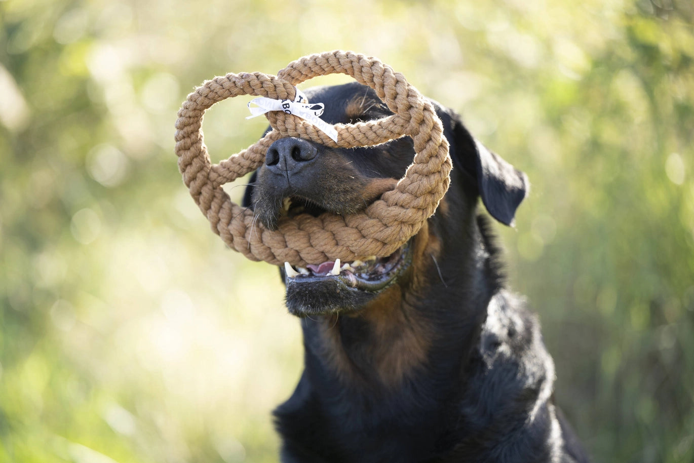 Jouet en corde pour chien en forme de bretzel Britta de Laboni, fait en coton naturel.