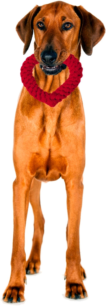 Jouet en corde pour chien en forme de cœur rouge Hertha Heart de Laboni, fait main en coton naturel.