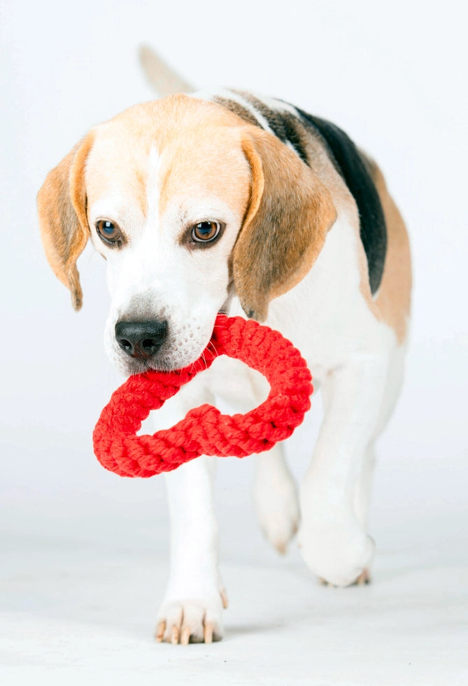 Jouet en corde pour chien en forme de cœur rouge Hertha Heart de Laboni, fait main en coton naturel.