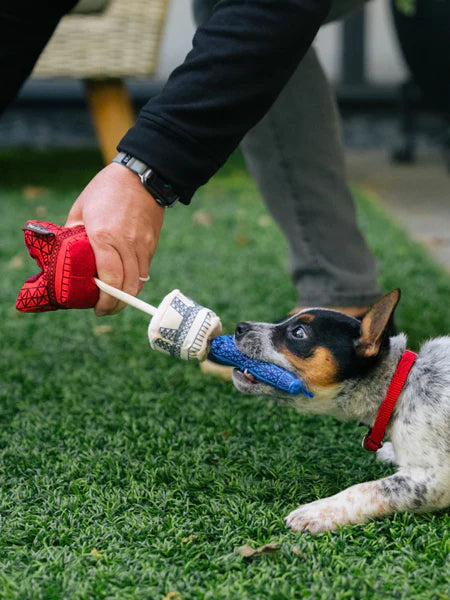 Jouet en peluche pour chien - Tour Eiffel | Totally Touristy - PET PLAY DOG DELICAT