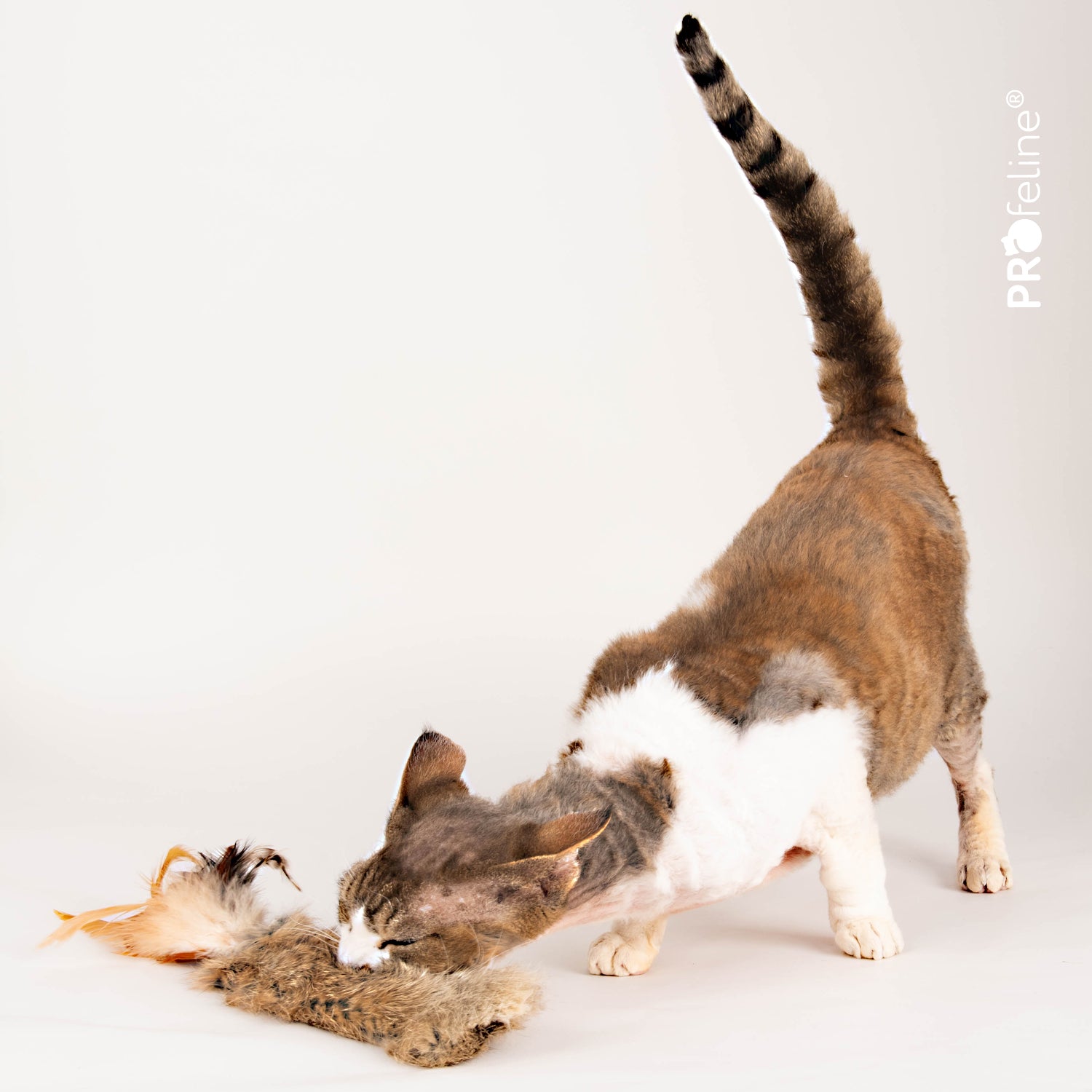 Jouet pour chat Wild Fur Buster en fourrure de lapin avec plumes et herbe à chat.