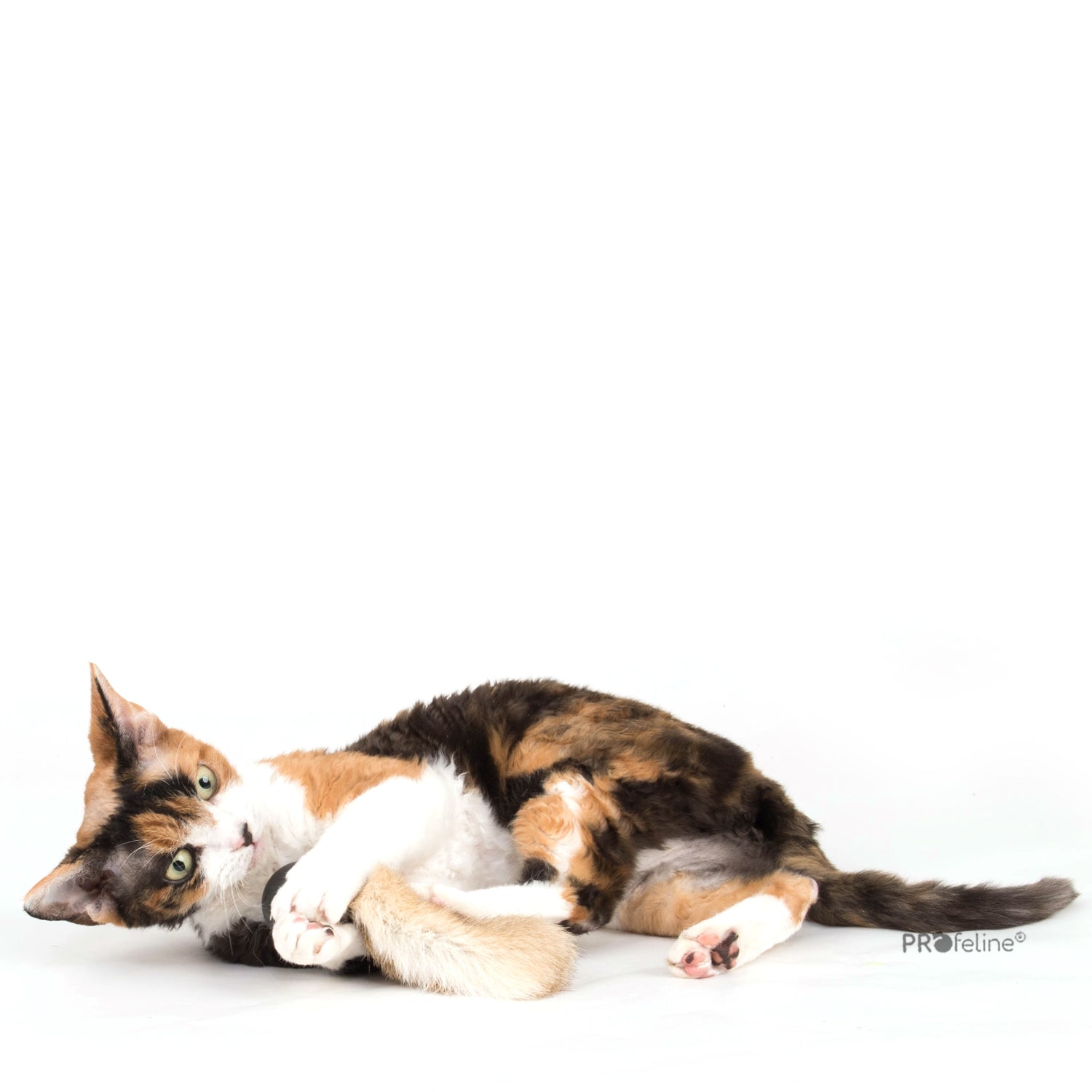 Balle pour chat Pong avec fourrure de lapin naturelle, jouet silencieux pour stimuler l'instinct de chasse de votre félin, signé Profeline.