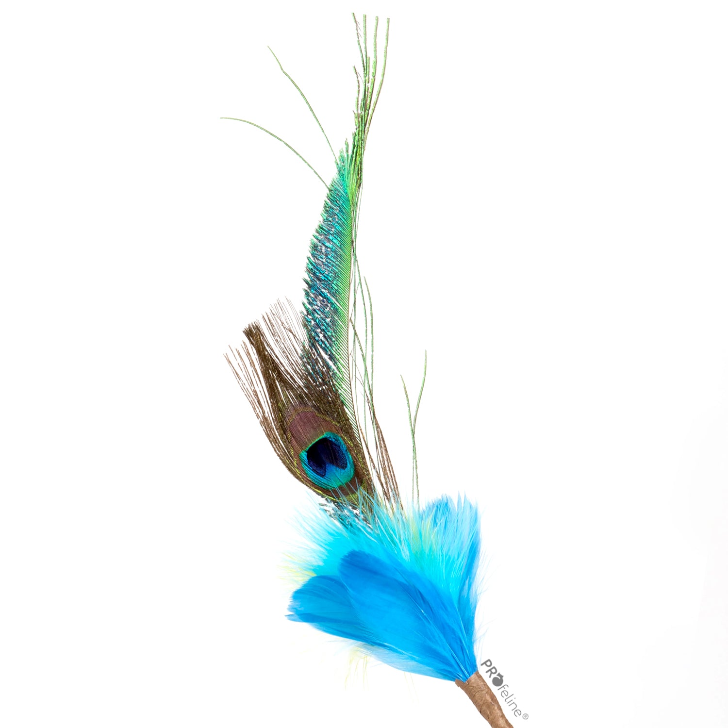 Canne pour chat Peacock Dancer avec plume de paon et plumes naturelles.