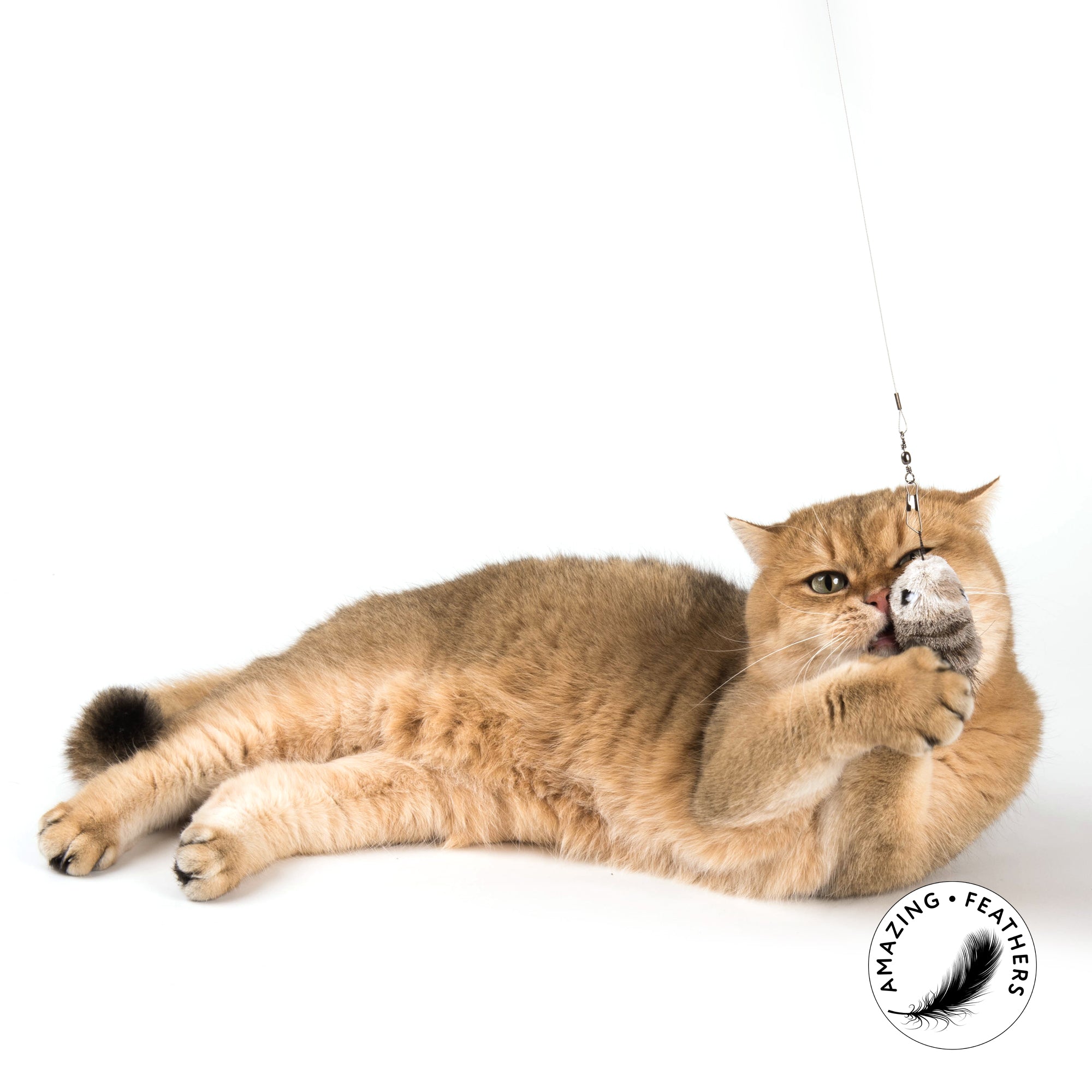 Jeu de canne pour chat Woody Swirl avec souris en poils de cerf, tige en bois de hêtre et mousquetons rotatifs, signé Profeline.