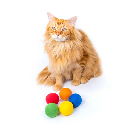 Set de 4 balles de jeu en feutre de laine naturelle, jouet pour chat