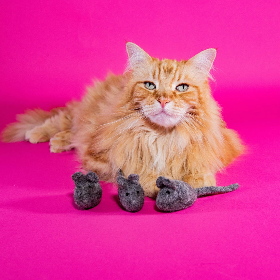 Trio de souris en laine naturelle pour chat, jouet feutré fabriqué à la main