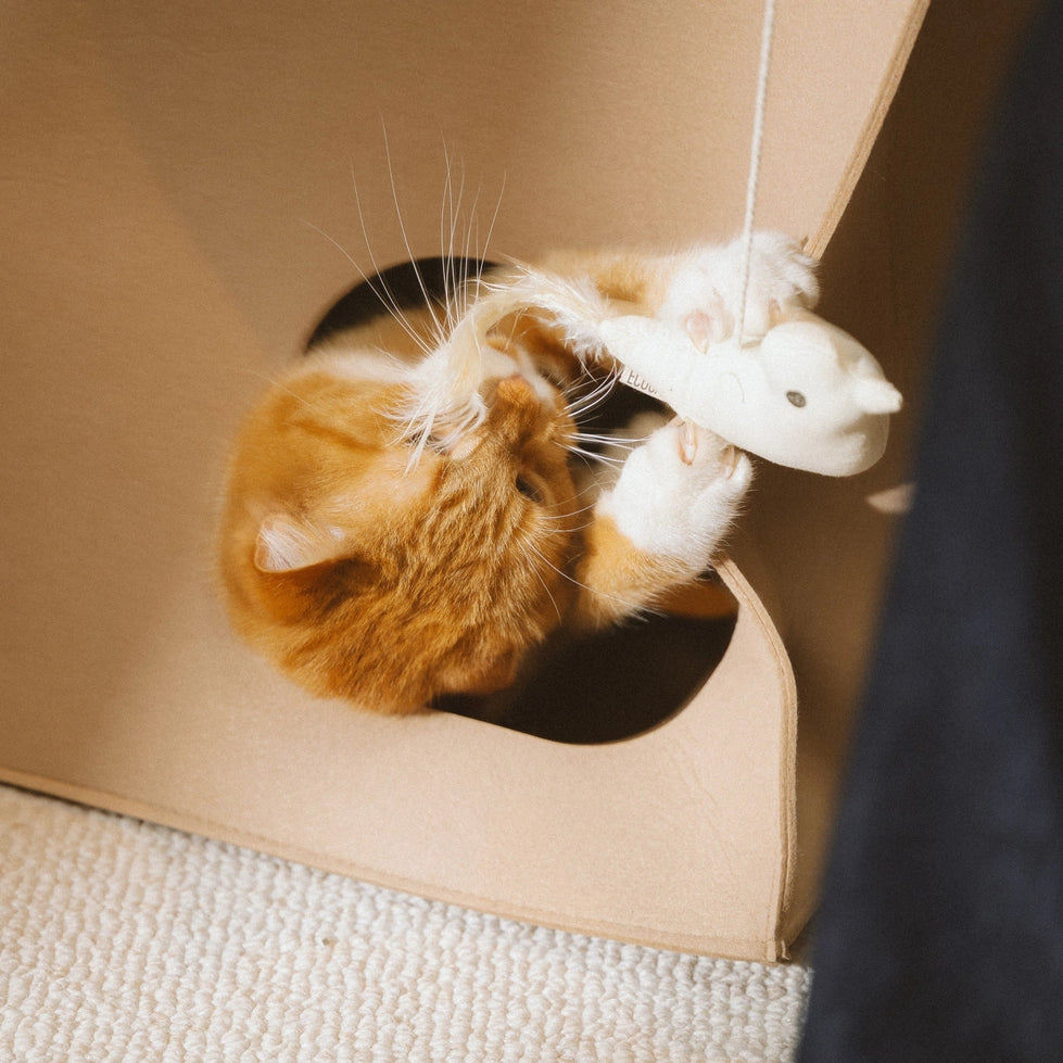 Jouet oiseau pour chat Ecocat en coton biologique avec herbe à chat – DOG DéliCAT