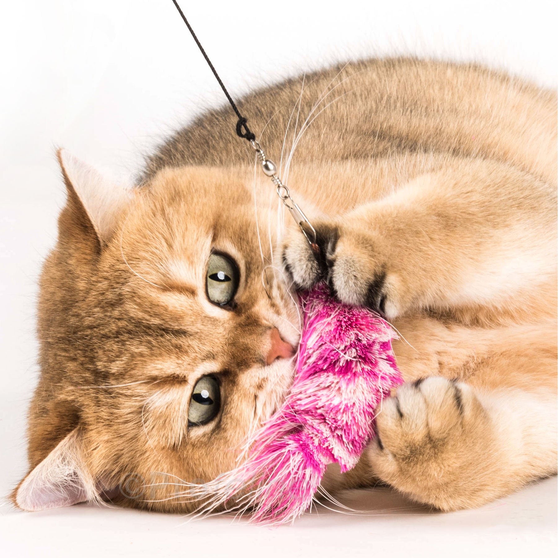 Pendentif pour canne à chat en forme de crevette, poils de cerf naturels, signé Profeline.