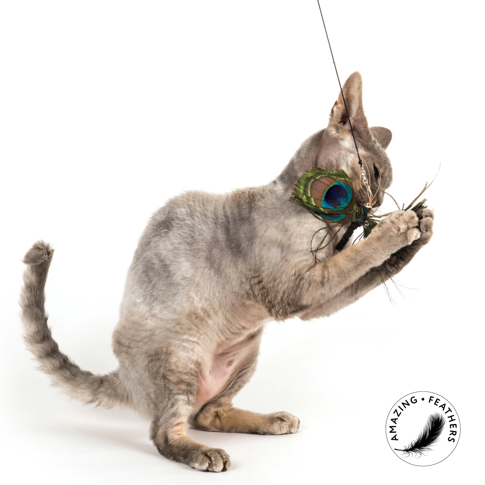Pendentif pour canne à chat Papillon Paon en plumes naturelles, avec ailes en yeux de paon et franges scintillantes, signé Profeline.