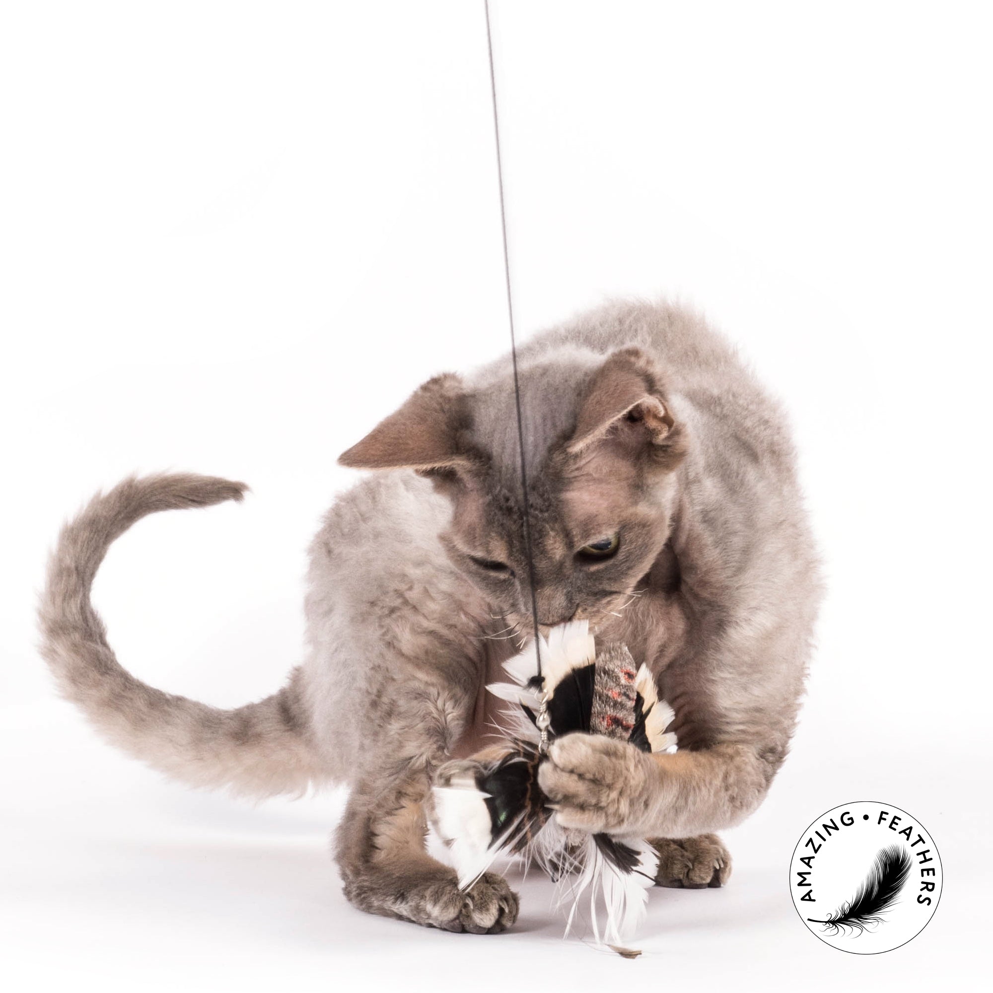 Pendentif pour canne à chat en plumes naturelles non teintées, papillon de nuit avec corps en poils de cerf, signé Profeline.