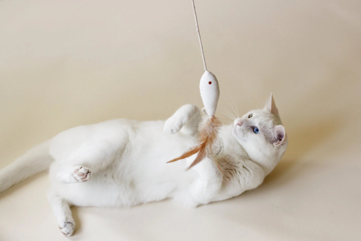Jouet pour chat Golden Fish Ecocat en coton avec plumes naturelles et herbe à chat – DOG DéliCAT