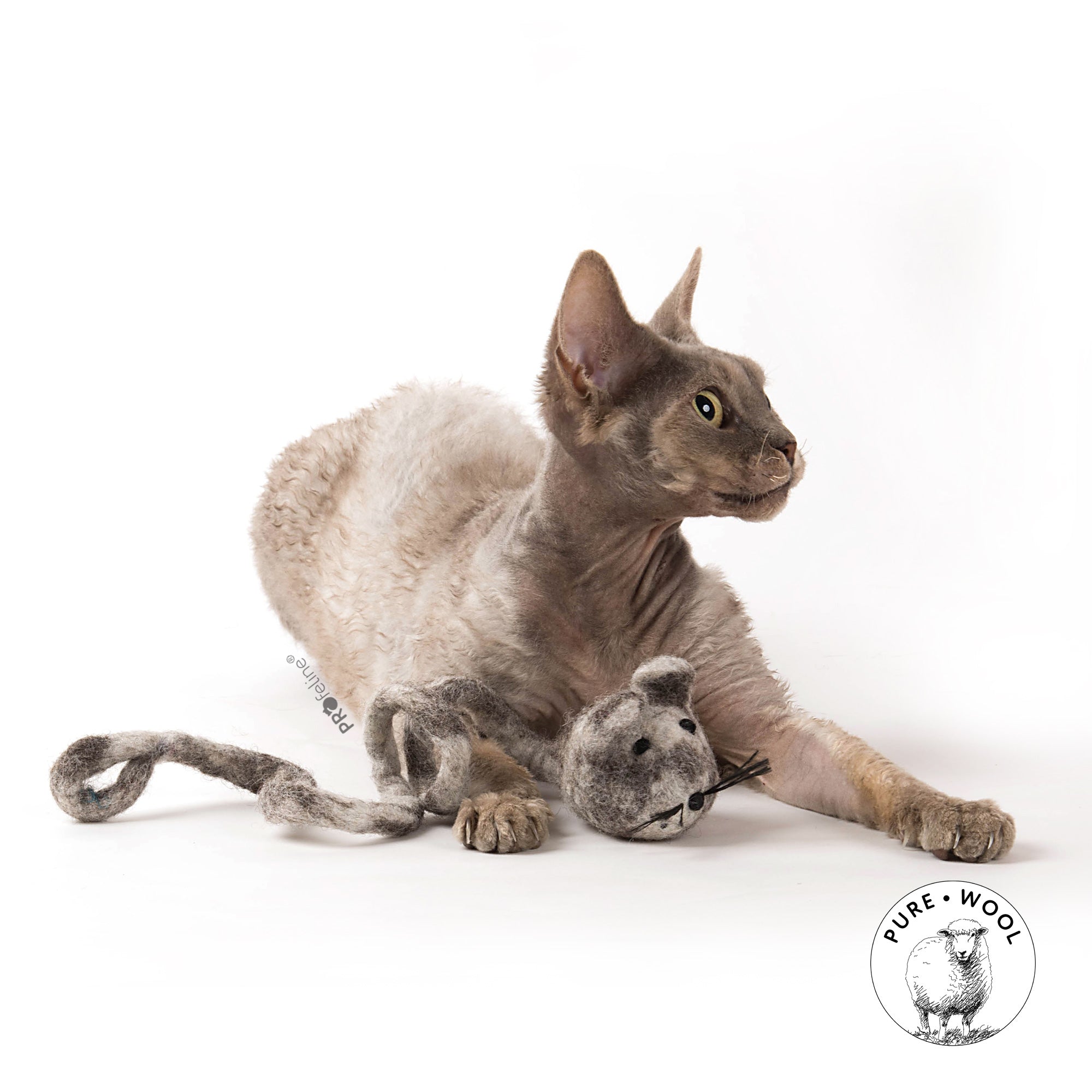 Jouet pour chat rat en laine naturelle feutrée à la main, signé Profeline, avec queue bouclée.