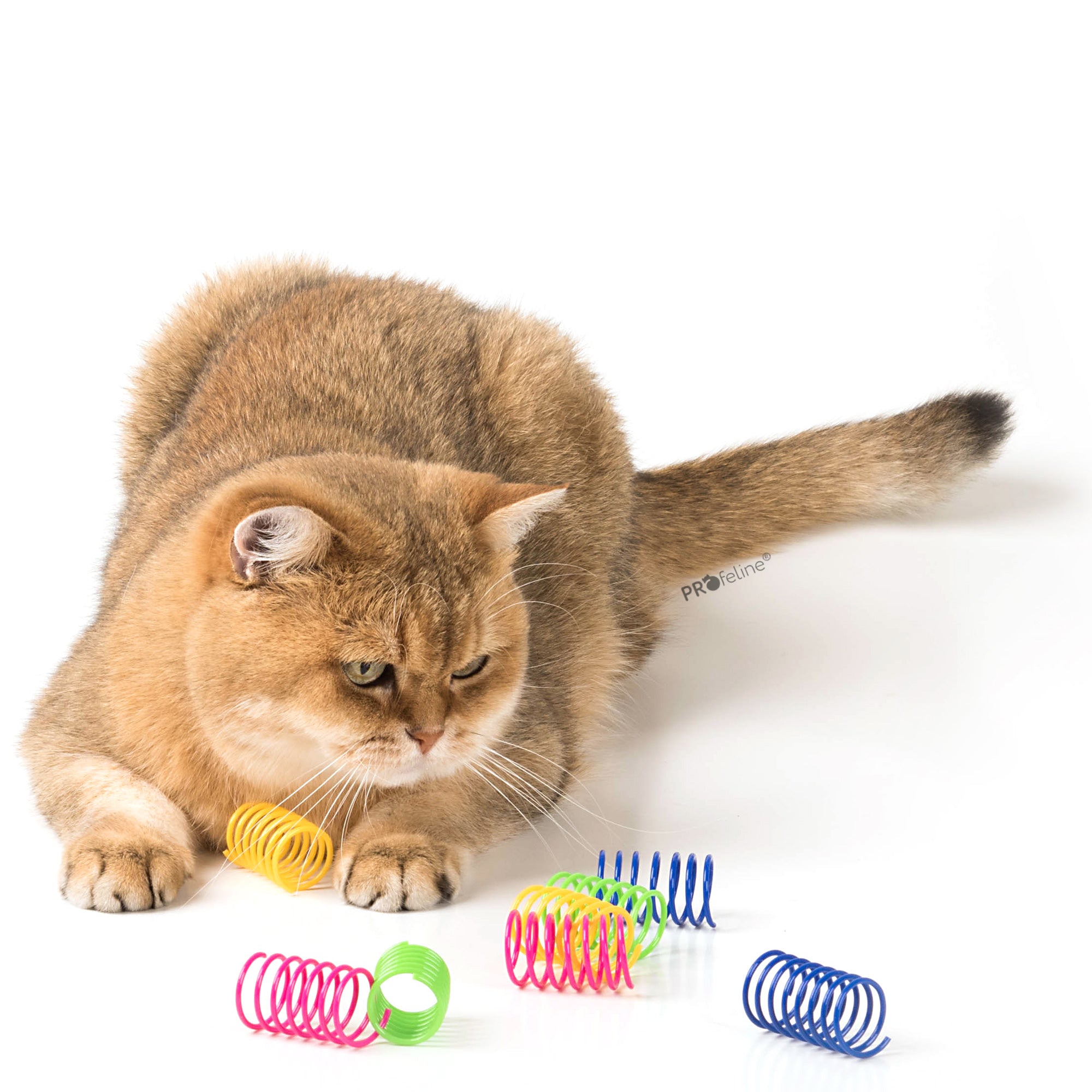 Jouet à ressort pour chat, paquet de 8 ressorts colorés en plastique sans fil métallique, signé Profeline.
