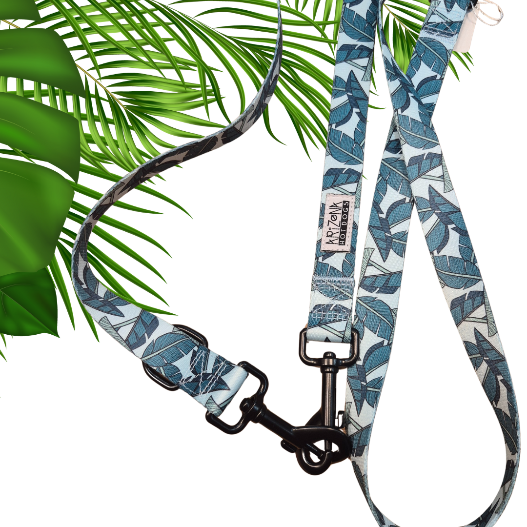 Laisse-Bandouliere-Amazonia-ArizonaHotDogs