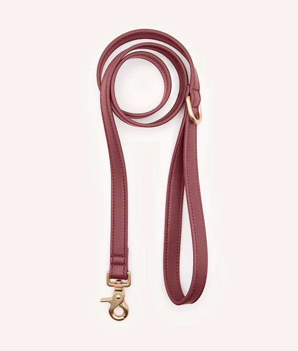 laisse chien cuir vegan bordeaux jala cafide