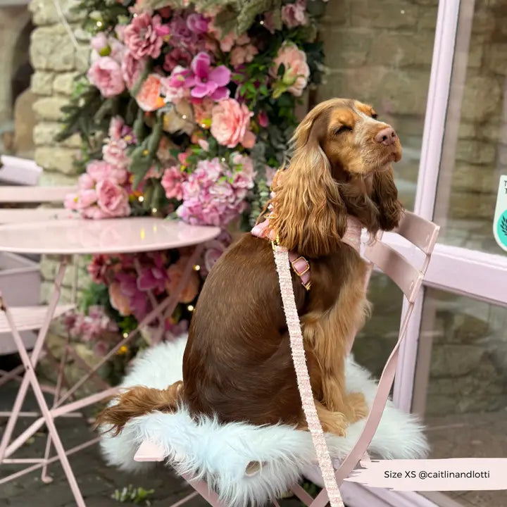 Laisse en tweed rose avec poignée rembourrée – Chic et confortable