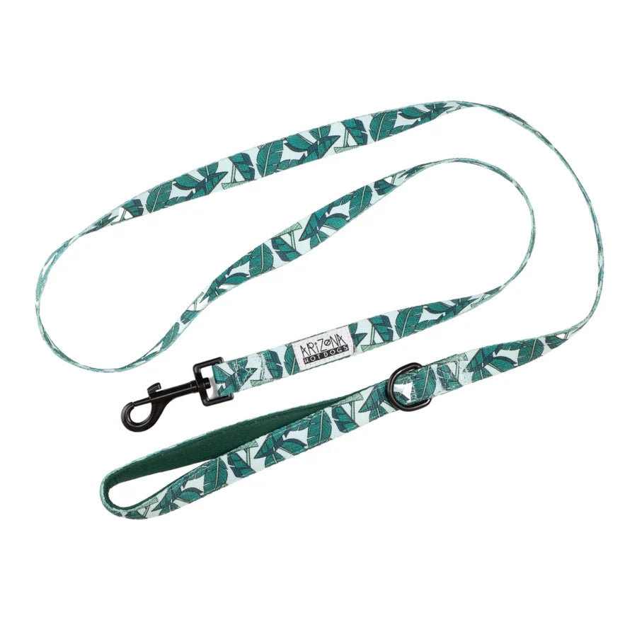 Laisse chien Amazonia turquoise motif feuilles - Arizona Hotdogs - DOG DéliCAT