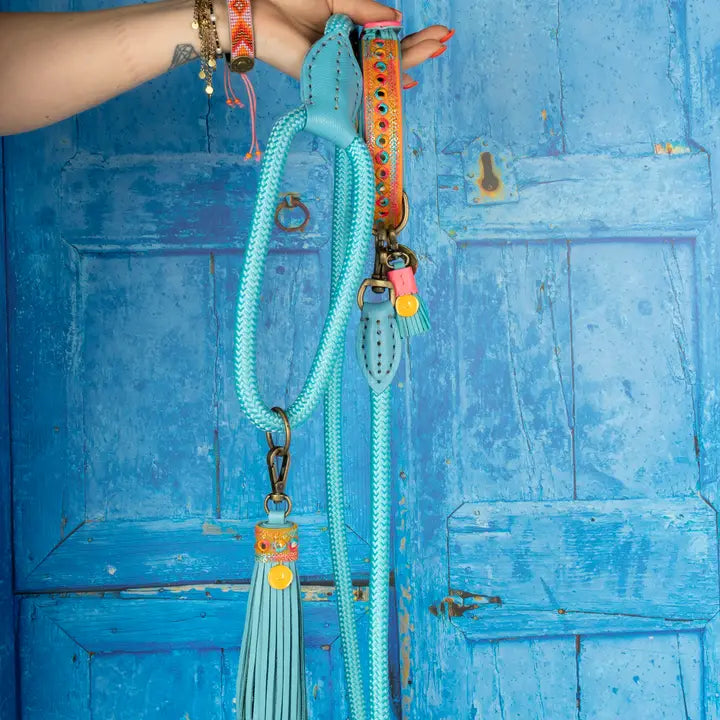 Laisse pour chien DWAM Indian Summer – Style boho chic & résistant