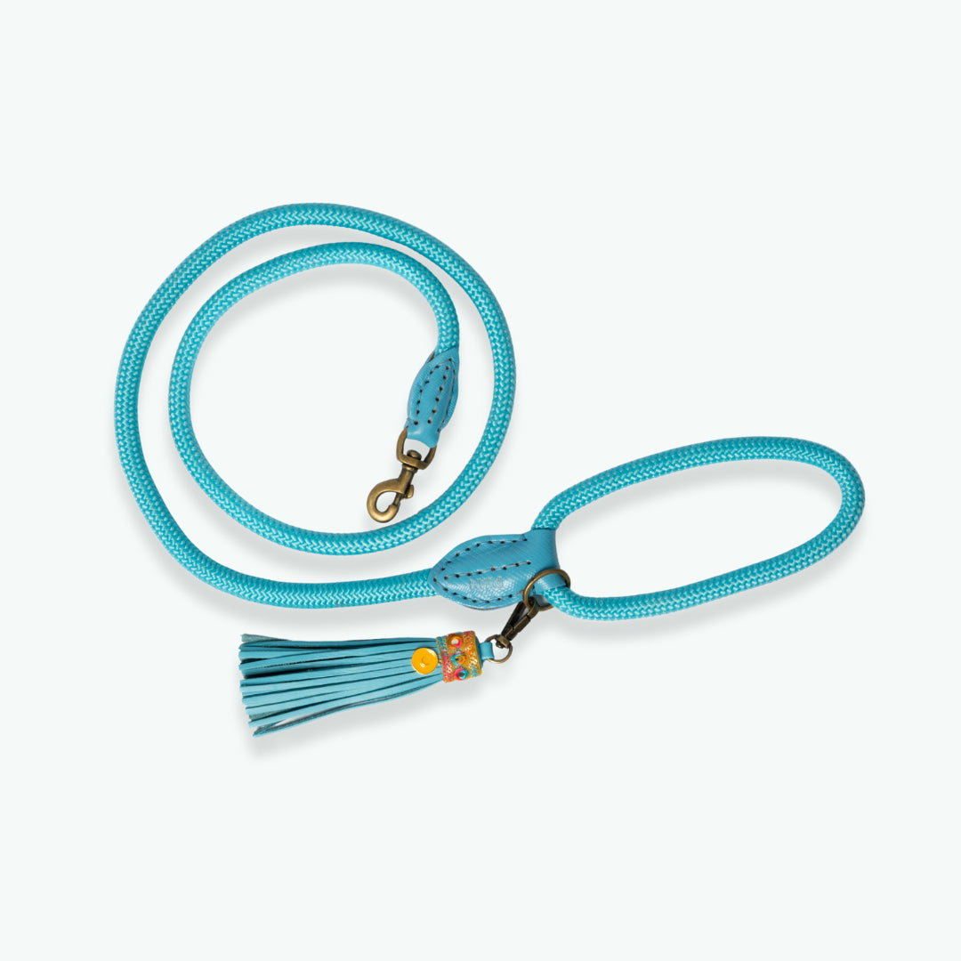 Laisse pour chien DWAM Indian Summer – Style boho chic & résistant