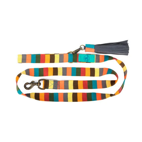 Laisse pour chien Mr & Mrs Smith de DWAM, colorée et durable, pour des promenades stylées.