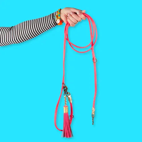 Laisse fine en cuir extra-longue pour chien - DWAM - Couleurs vibrantes