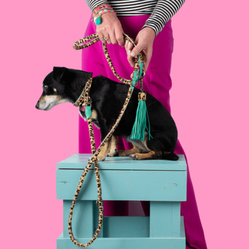 Laisse Extra Longue Amsterdam en cuir souple, réglable, couleur élégante, idéale pour des promenades stylées avec votre chien. À assortir au collier DWAM LouLou.
