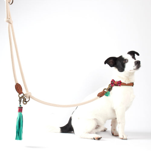 Accessoire promenade pour chien corde sable