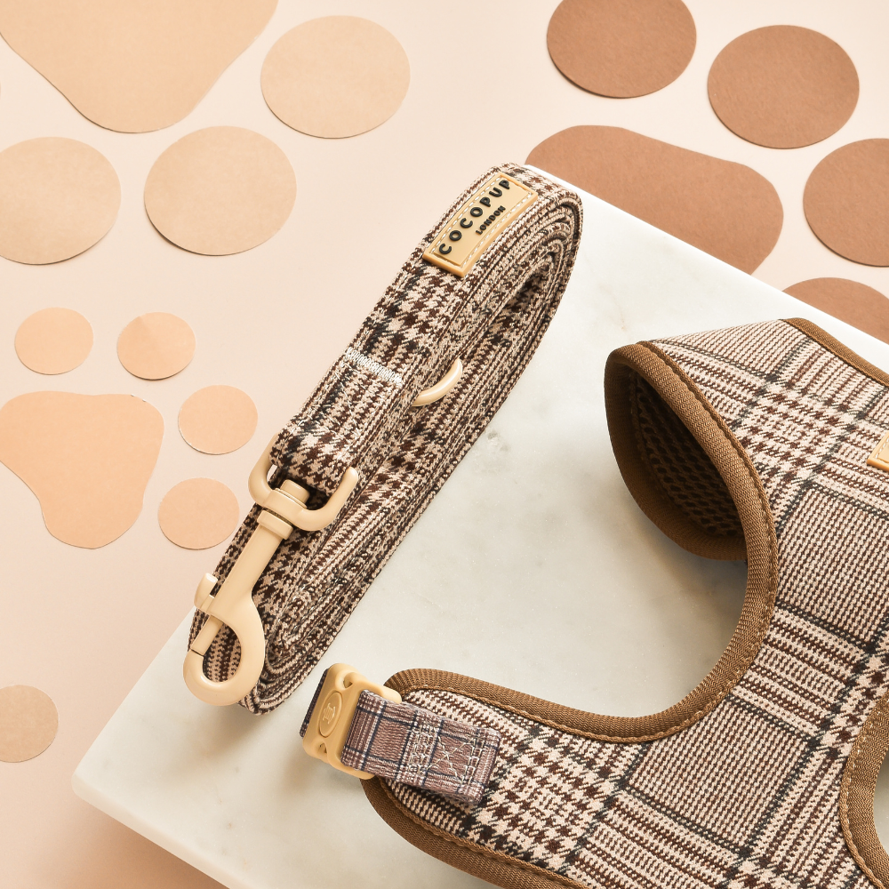 Laisse à carreaux marron Pup Plaid pour chien Cocopup