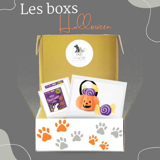 Box Halloween Searching Box