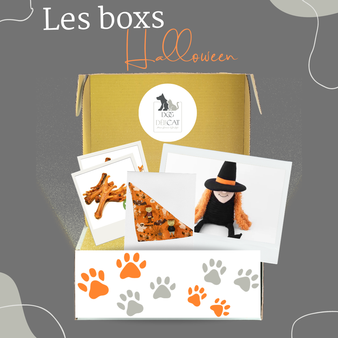 Soft Box Halloween | DOG DELICAT