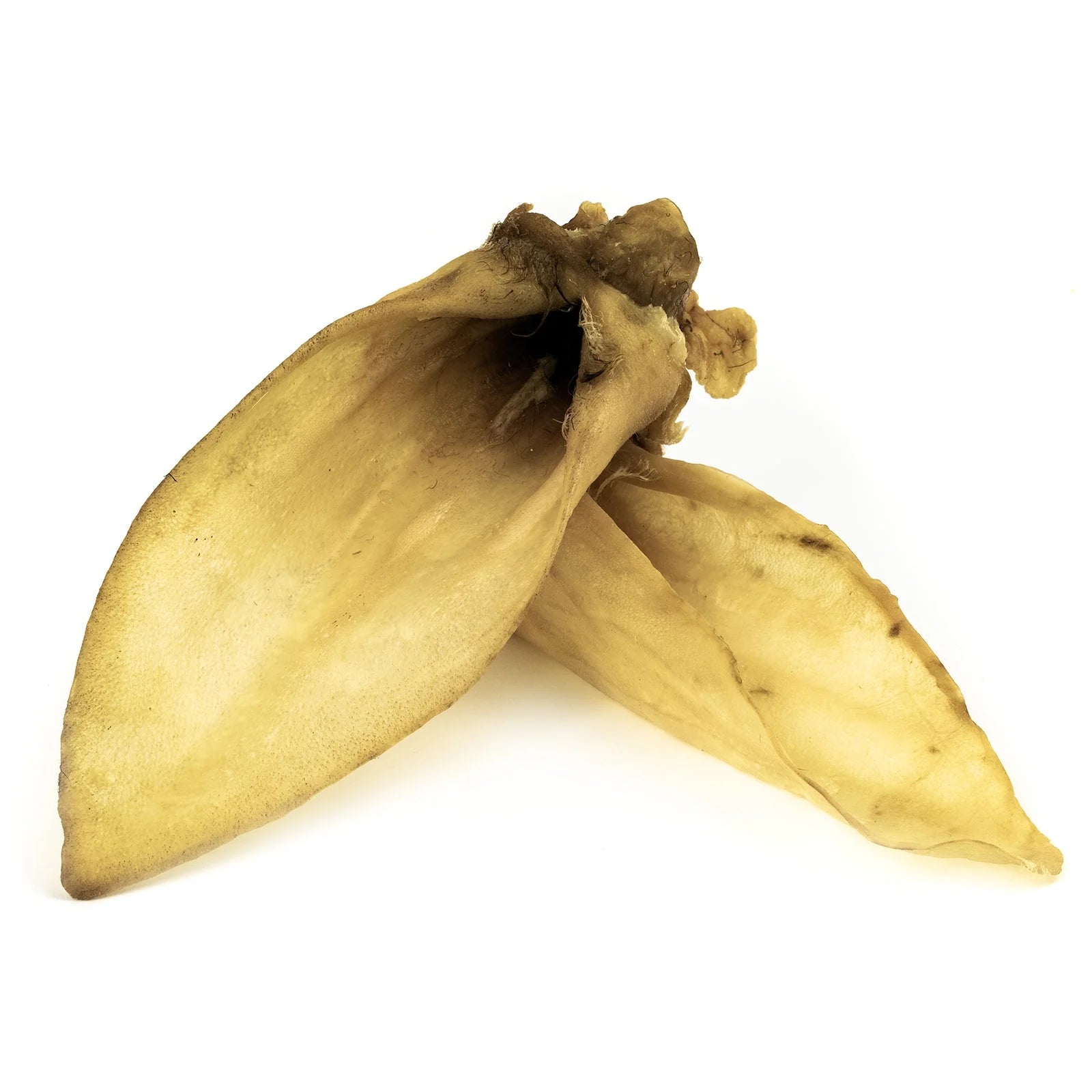 Oreilles d'Agneau Naturelles pour Chiens - SANADOG