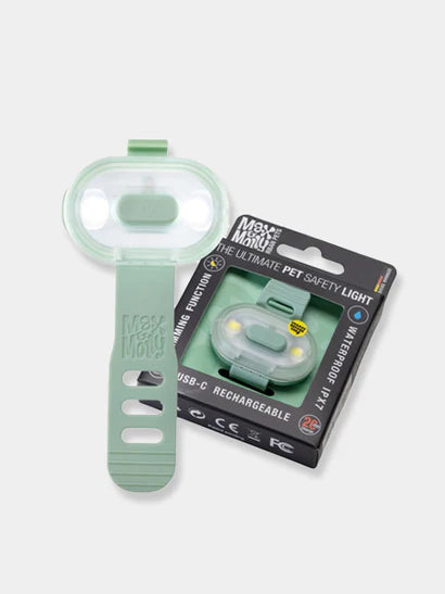 lumière led jade chien balade nocturne