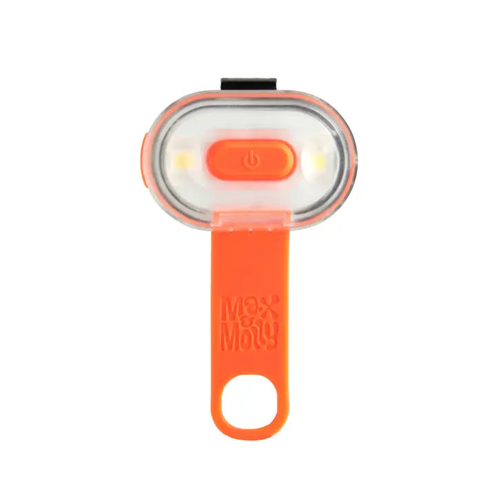 lumière led orange chien haute visibilité