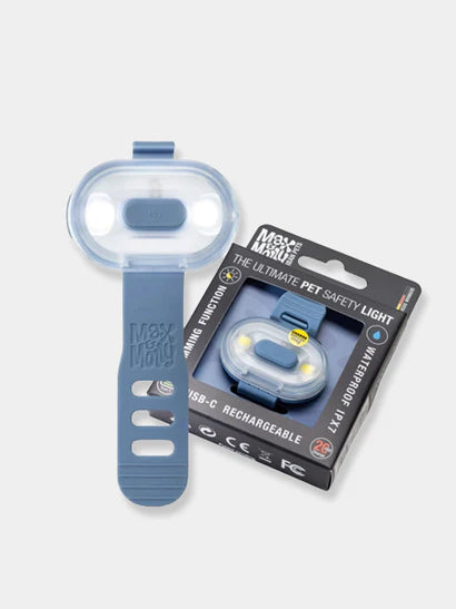 lumière led bleue chien haute visibilité