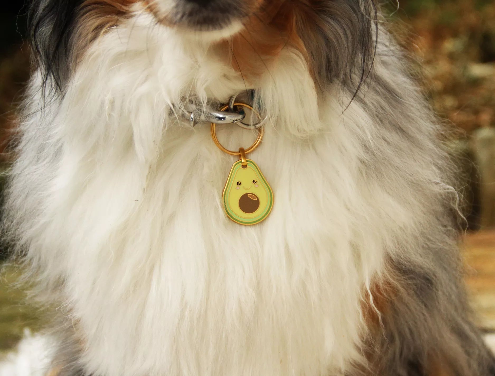 Médaille pour Chien/Porte-Clé Connecté Spoors avec QR Code -Sécurité et Tranquillité pour Votre Animal