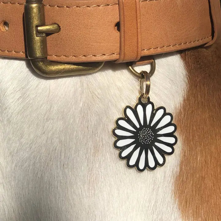 Médaille d'identification Marguerite pour chien Two Tails