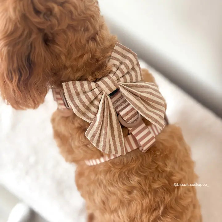 Nœud papillon marin pour chien London Linen CocoPup London – CocoPup London – DOG DéliCAT