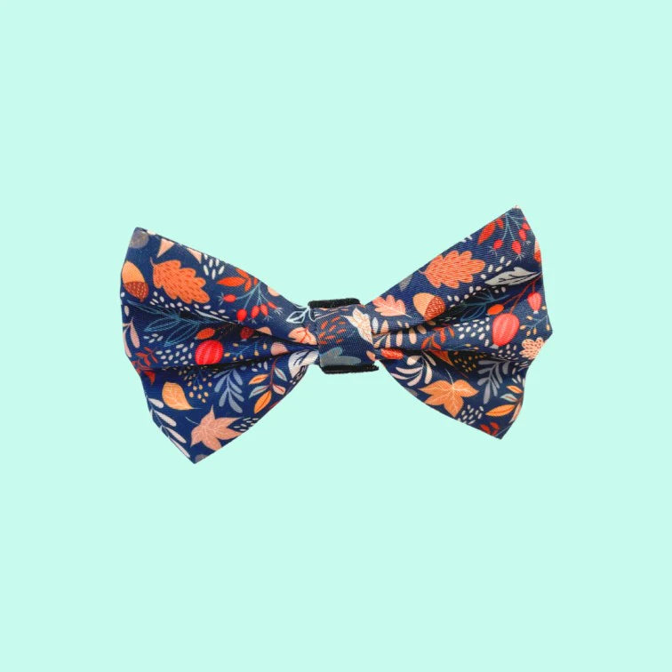 Noeud_papillon_chien_Fall_In_Love