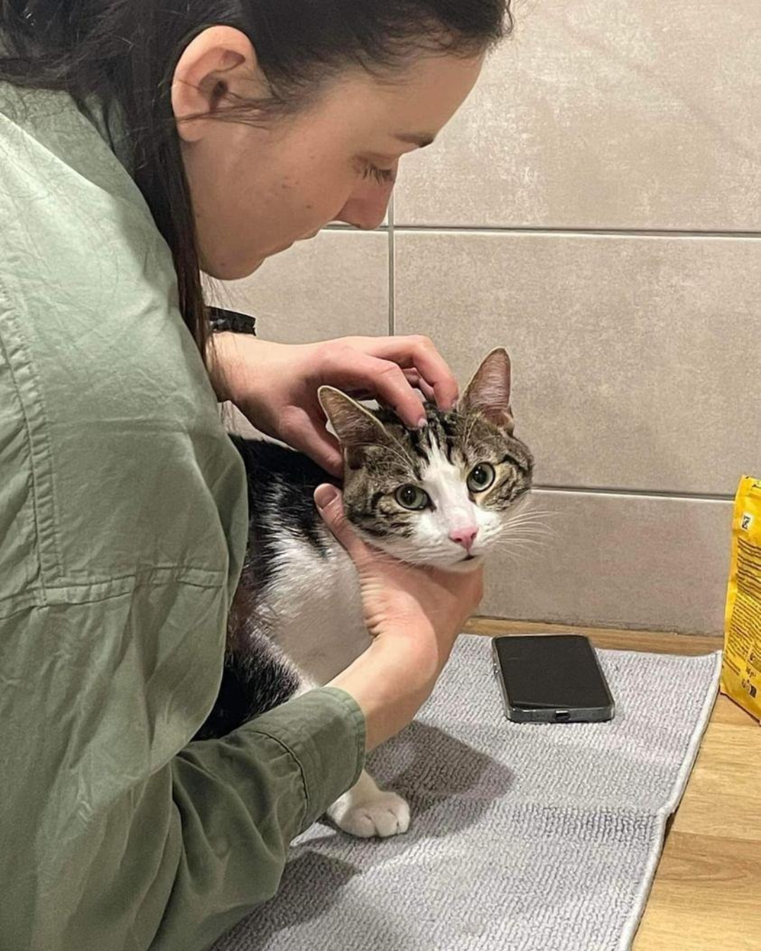 Séance ostéopathie chien chat à Thionville – Camille Sturel