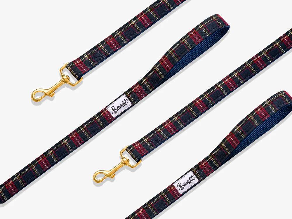 Laisse pour chien Oh My Lord - Motif Tartan - The French Bandit