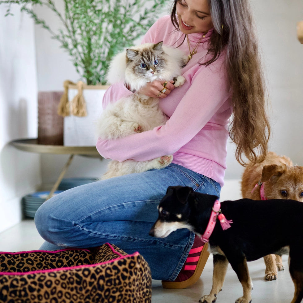 Panier pour chien Lazy Leopard DWAM en velours léopard – DOG DéliCAT