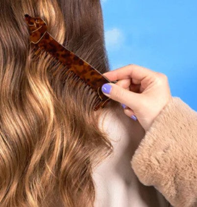 Peigne à cheveux Teckel Coucou Suzette – DOG DéliCAT