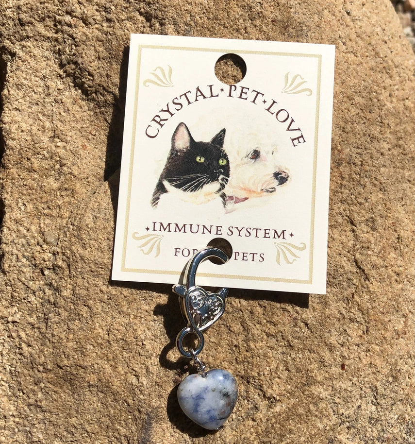 pendentif protection bleu pour collier animal