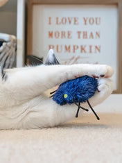 Peluches Halloween chat araignée et chauve-souris Pet PLAY