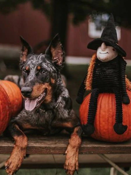 Peluche Sorcière 🧙‍♀️ en peluche pour chien de Zippy Paws avec squeaker intégré, poil doux, idéale pour le jeu et les câlins.